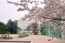 日本国立大学的学费,日本国立大学学费